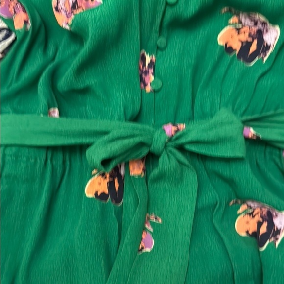 Green Flutter Sleeve Wrap Jumpsuit - Picture 6 of 9